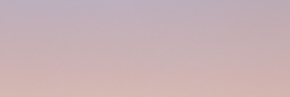 giulia ‧₊˚❀ banner