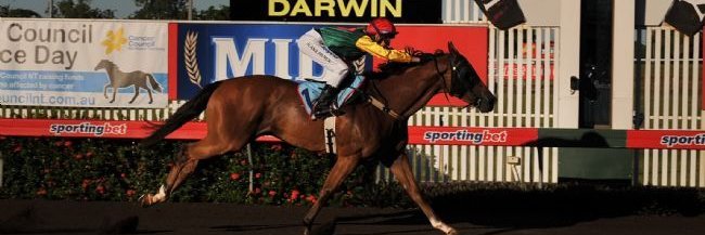 Top End Rooster banner