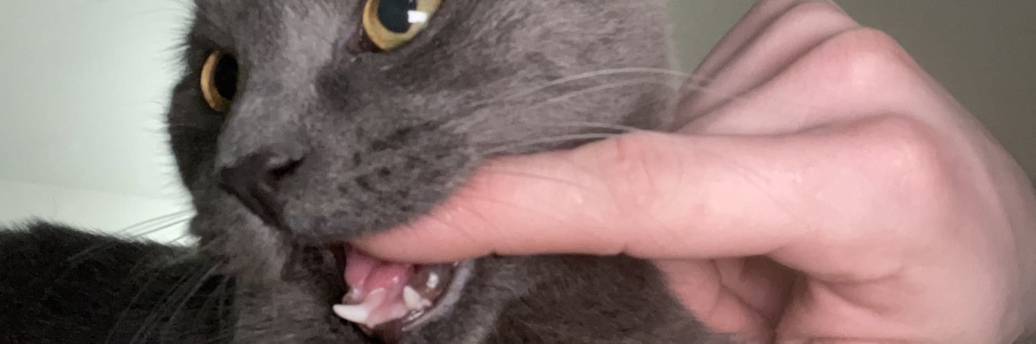 KyleTanzer2000's profile banner image