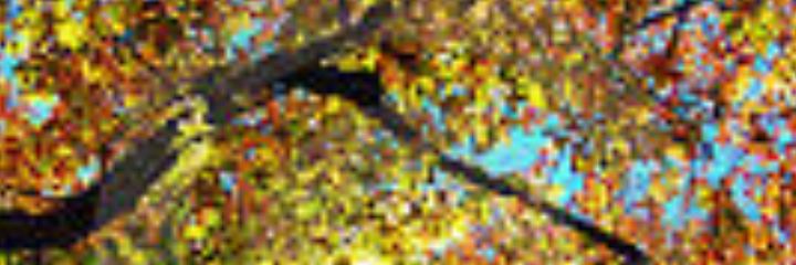 meevel's profile banner image