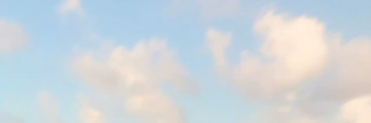 赵温柔 banner