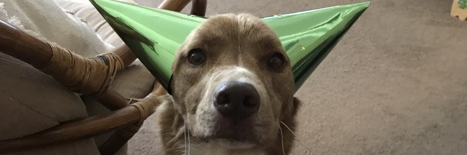 ryrylouise's profile banner image