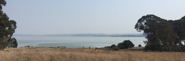 imightbemary Profile Banner