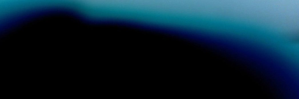 dolly⁷ 🧡 banner