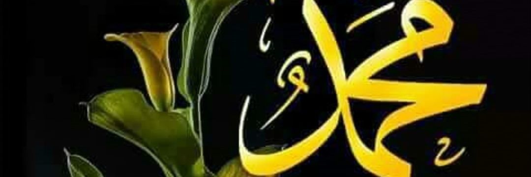 QaseemALALI2's profile banner image