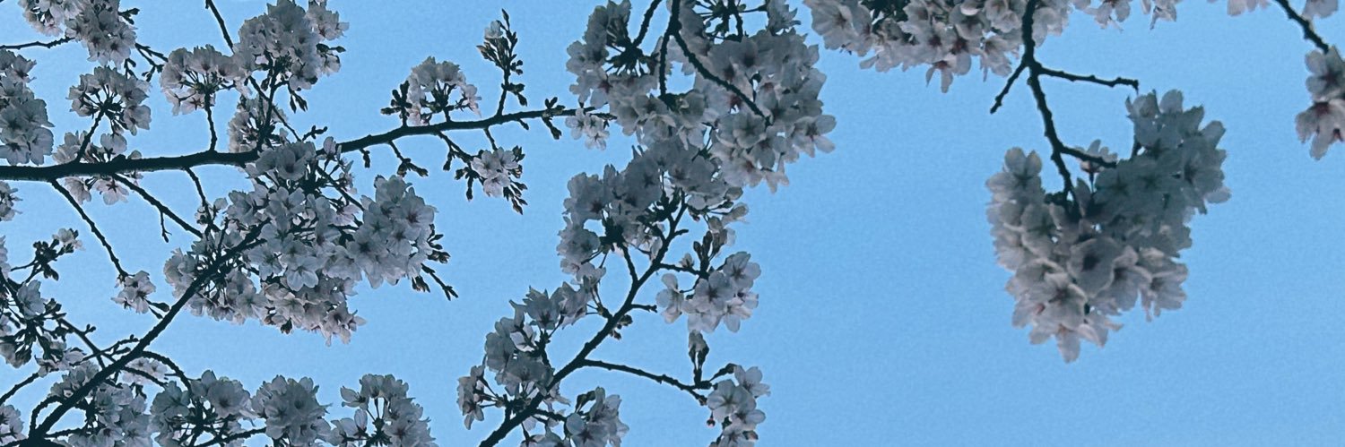 こん banner