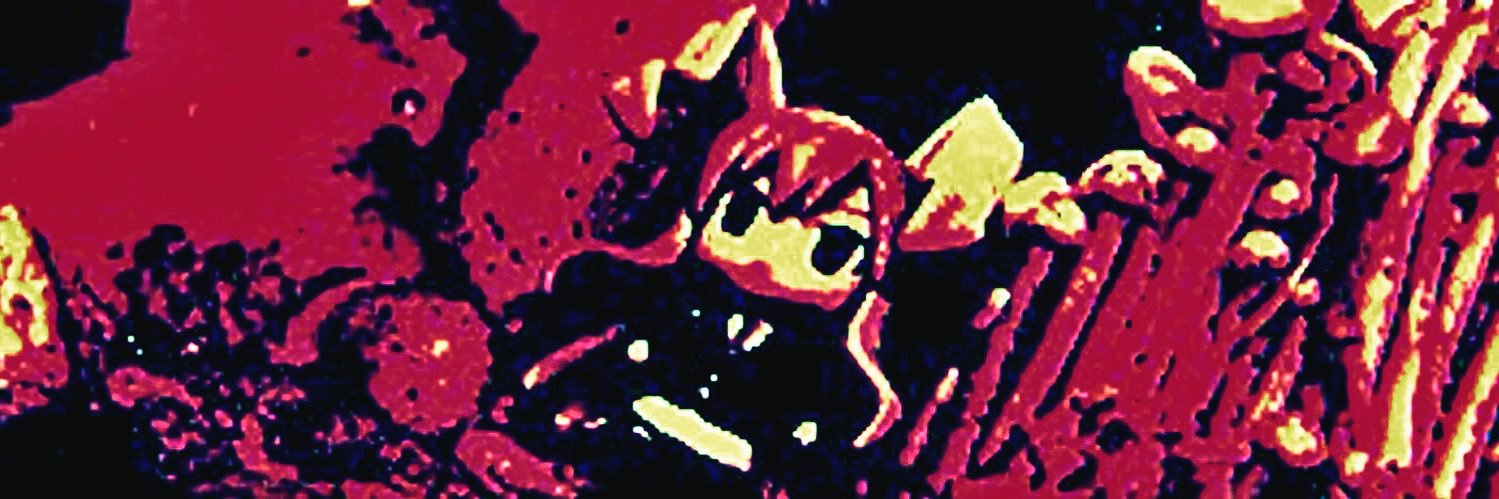 TanukiMatthew's profile banner image