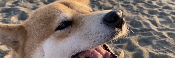 ginnashi Profile Banner