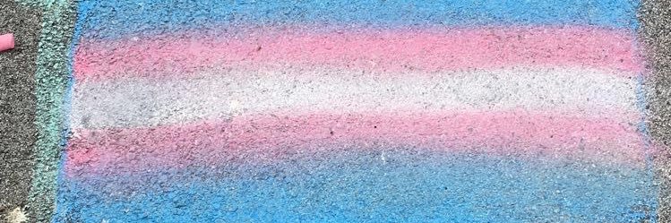 Stephanie🤪⚧️ 🏳️‍⚧️ banner