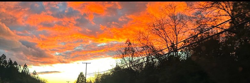 🌸Heather🌸 banner