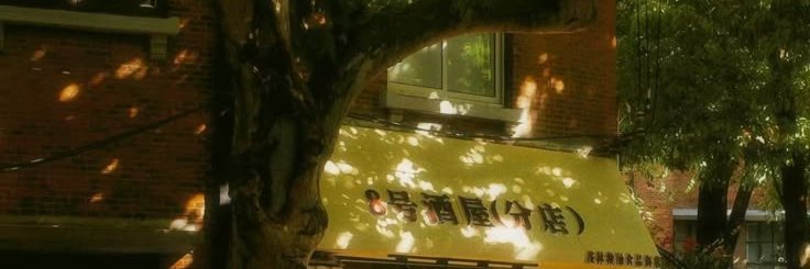 bonnie 𔘓 banner