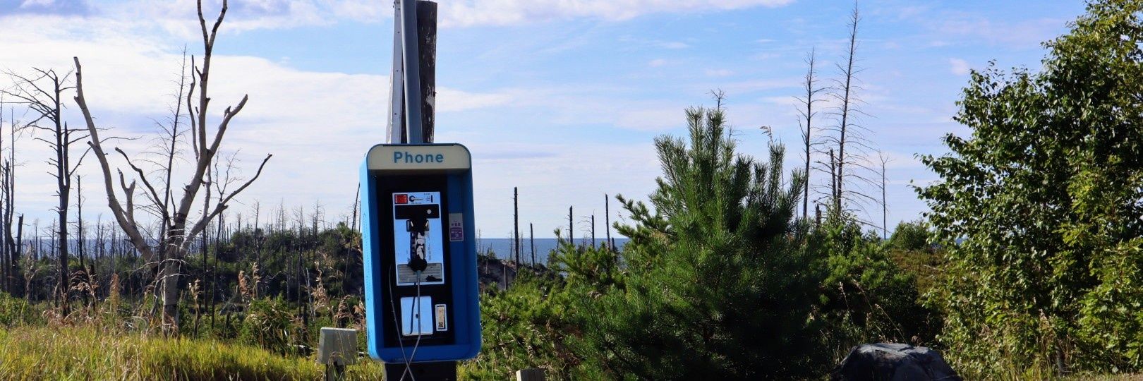 Dee Dunne 🏳️‍🌈🍉 banner