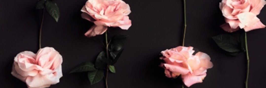 𝚋𝚎𝚝𝚘 banner