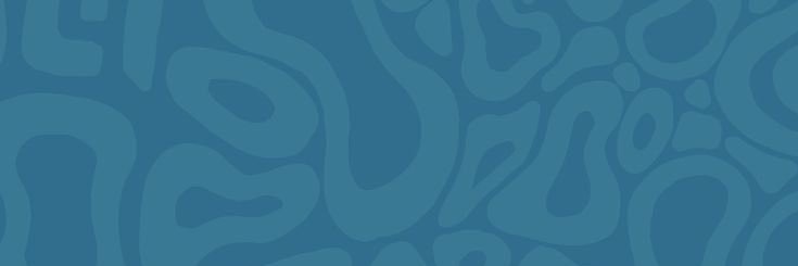 Pan¹ 🦋 banner
