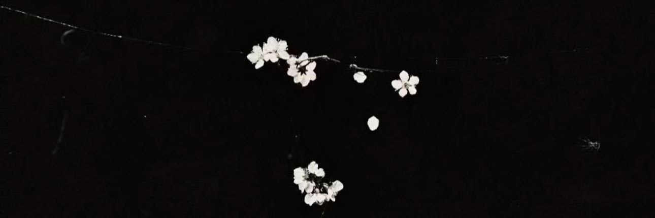 w土豆果. banner