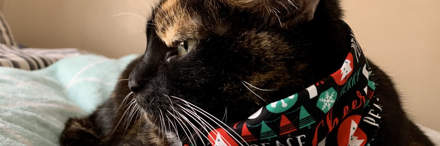 sbeasla's profile banner image