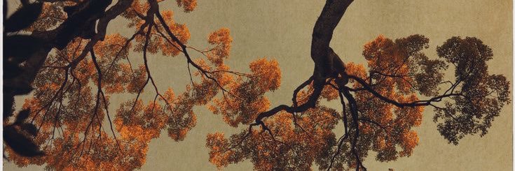 Bah's banner