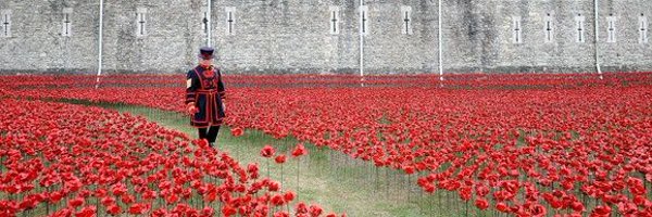 janwildfly Profile Banner