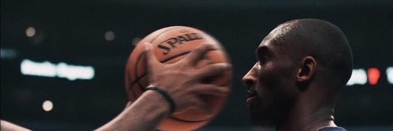 Stoic Warrior banner