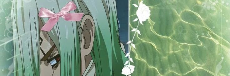 mayotart | senku's ex-wife banner