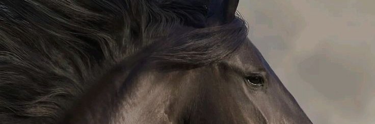 Mmaedehh's profile banner image