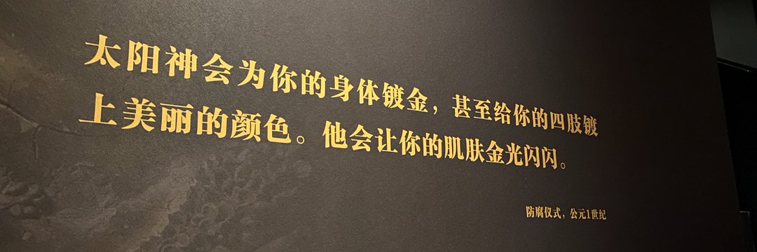 哈利波特与飞机杯 banner
