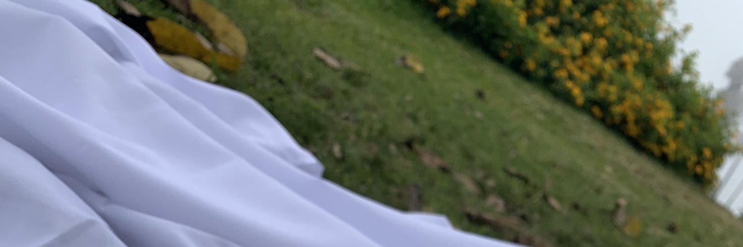 anima_absorta's profile banner image