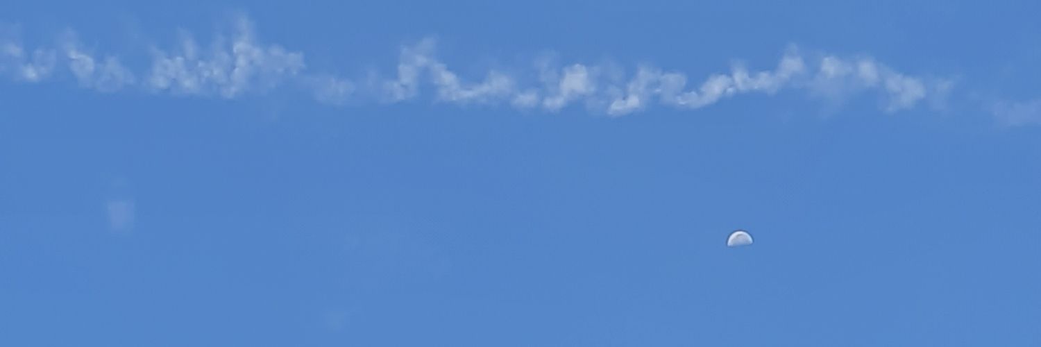 nini 🌱 banner
