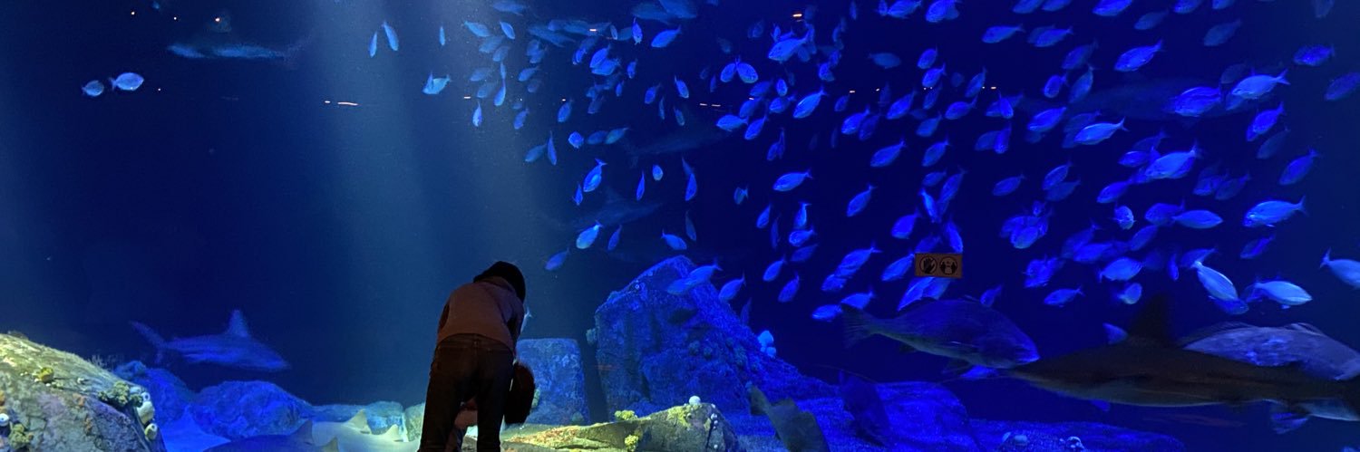 Eric Teo 🇸🇬👾 banner