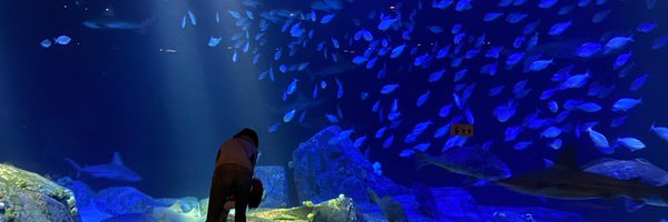 eric_tkl Profile Banner