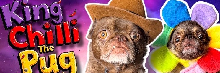 KingChilliPug's profile banner image