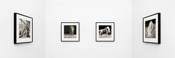 IsaLeshko Profile Banner