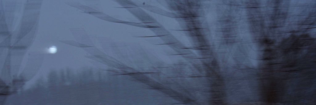 2007's banner