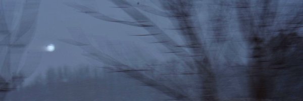 thesummerof2007 Profile Banner