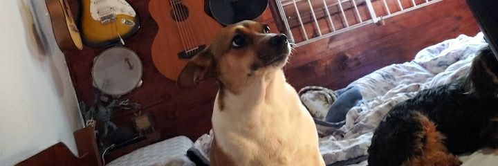 MarceloDonadel's profile banner image