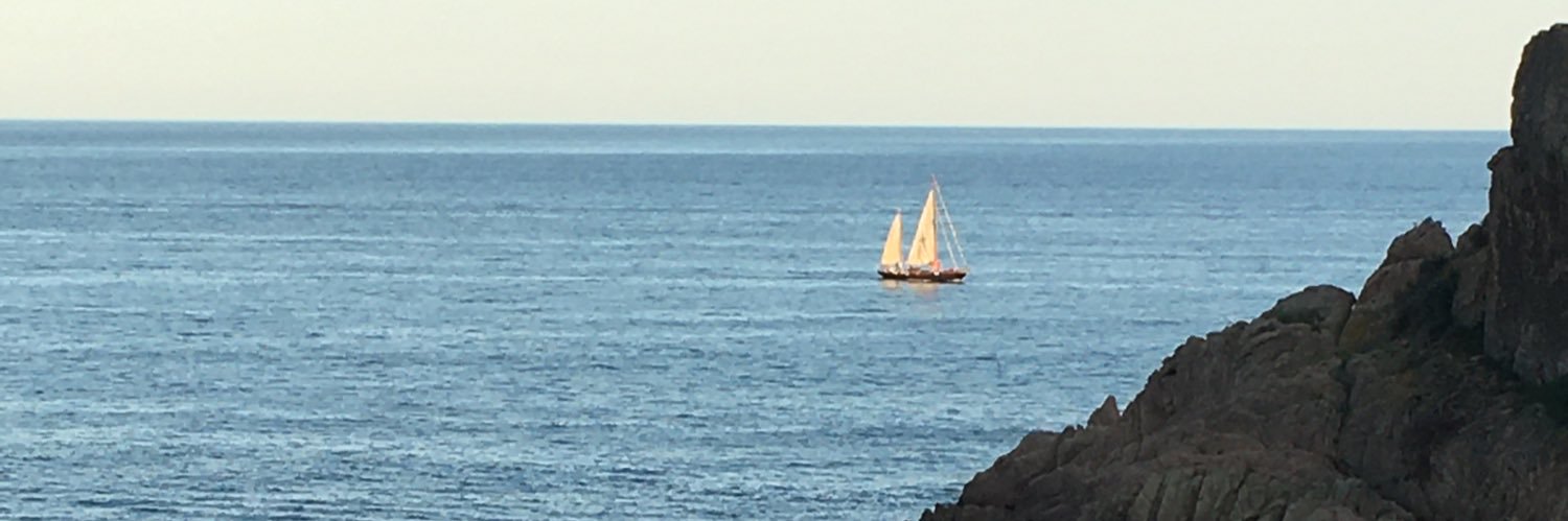 Lluís Bassets banner