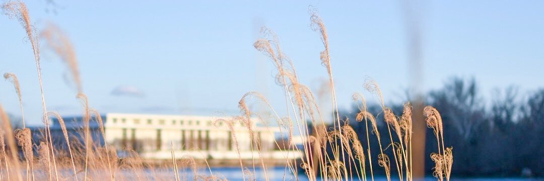 mstaylorp's profile banner image