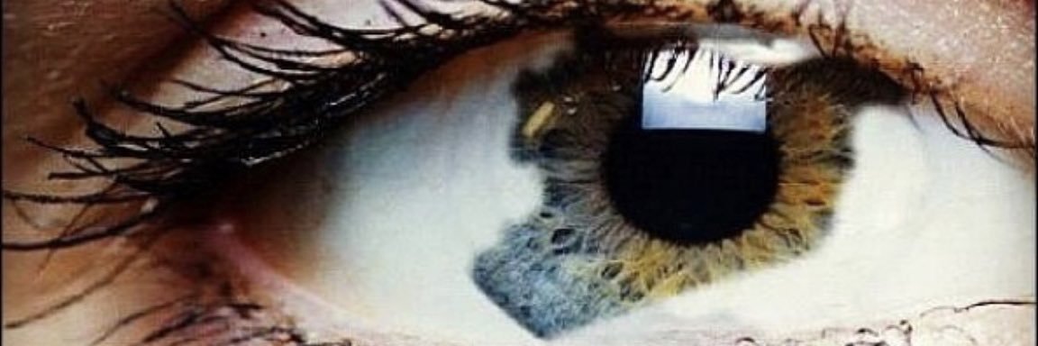 nouratheexplora's profile banner image