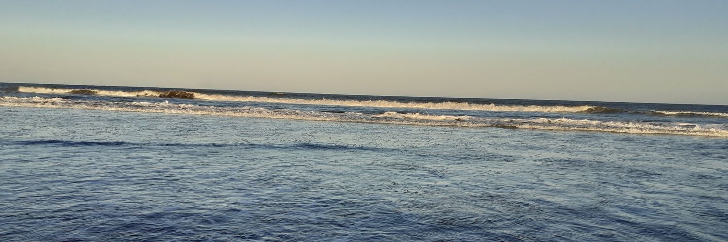 cchinixb's profile banner image