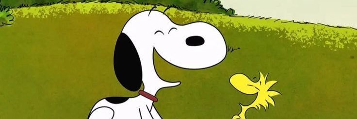 joekit as snoopy's banner