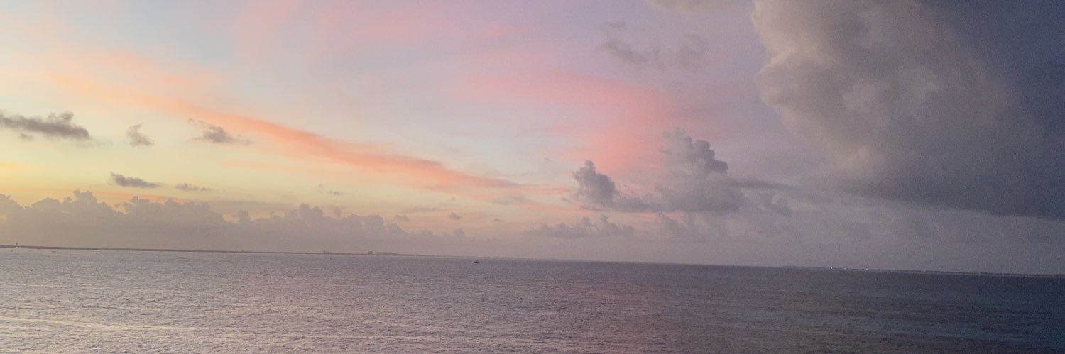 emmmchar's profile banner image