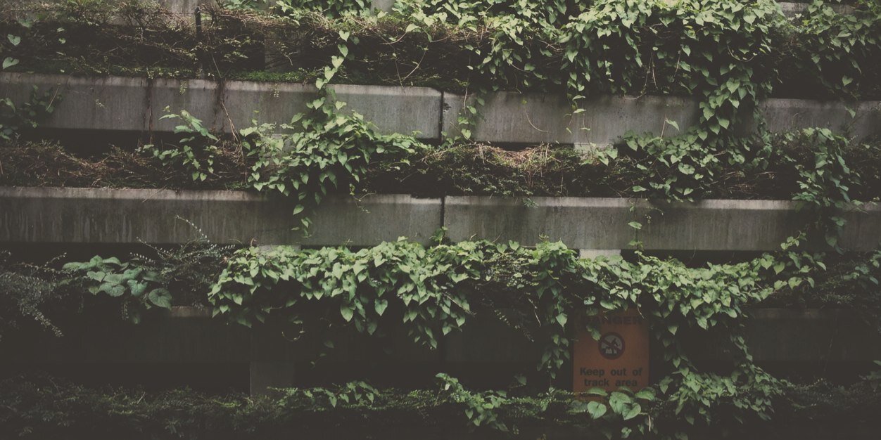 vladozius's profile banner image