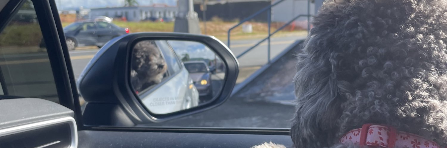 EmilyMari09's profile banner image
