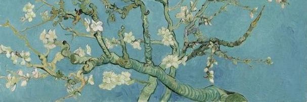Miss_Roli's profile banner image