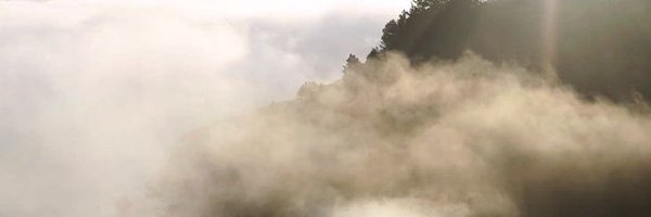 sylviengold Profile Banner
