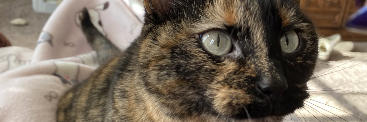 kylayw1's profile banner image