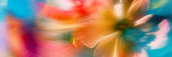 chenchen10917 Profile Banner