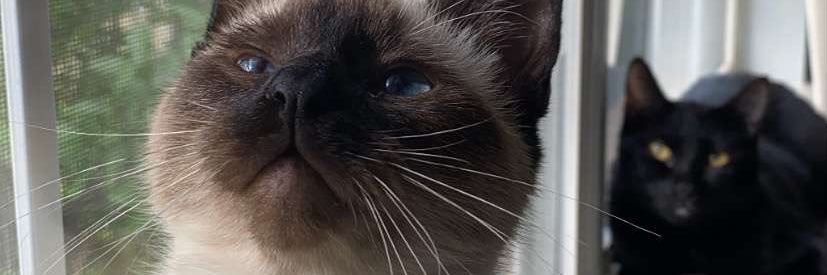 CarsonLudt1's profile banner image