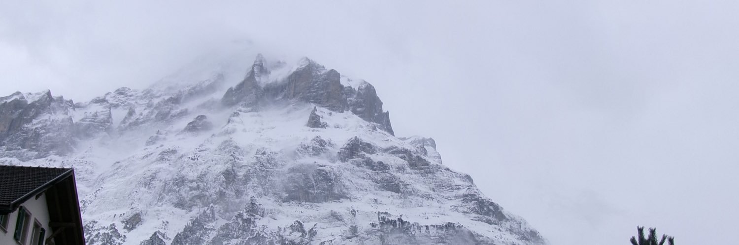ally_hemsing's profile banner image