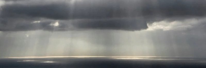 vxenomorph's profile banner image